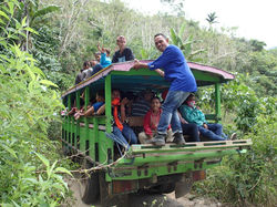 Local buses