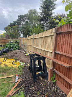 PHOTO-2022-12-11-09-46-41 (1).jpg