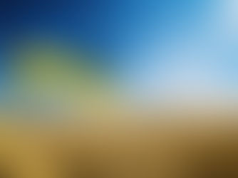 活動状況(2024年7月末)