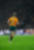 2025 0802 - Wallabies - Match Day vs. Lions III - Accor Stadium - Photography by Hugo Carr