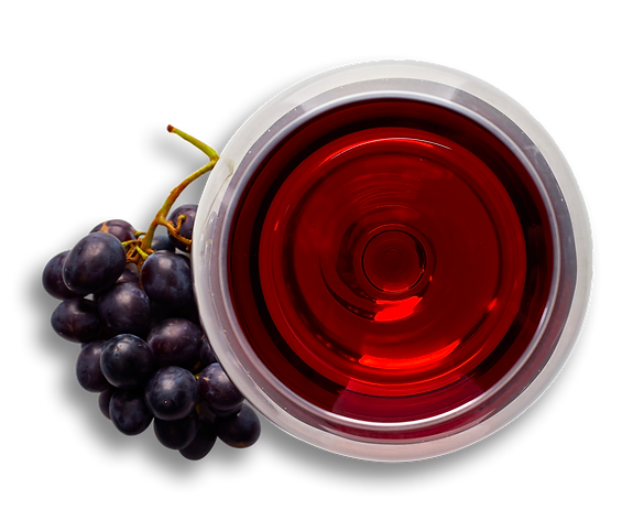 nebbiolo barolo barbaresco