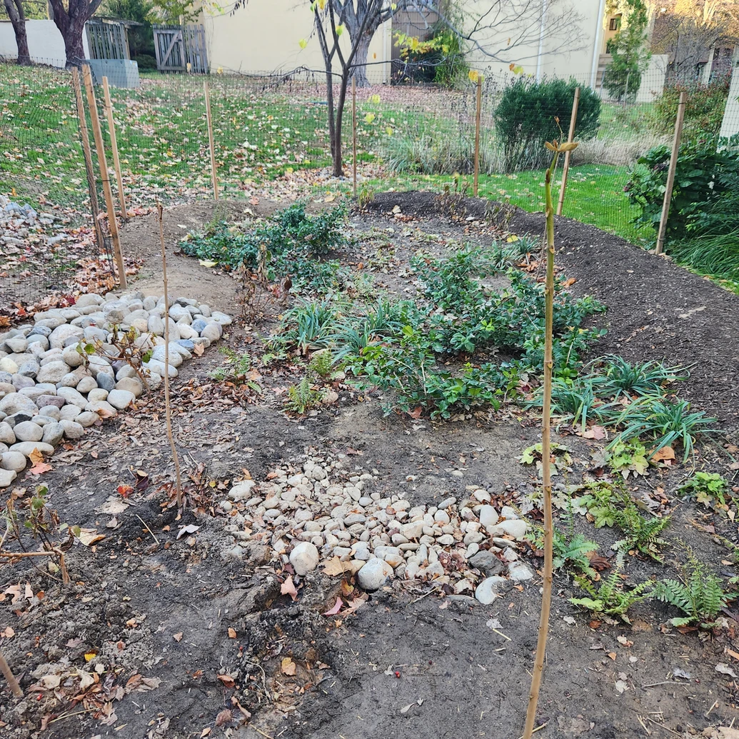 Deering Woods Rain Garden complete installation inside the temporary fencing with new plantings, rocks, and mulch