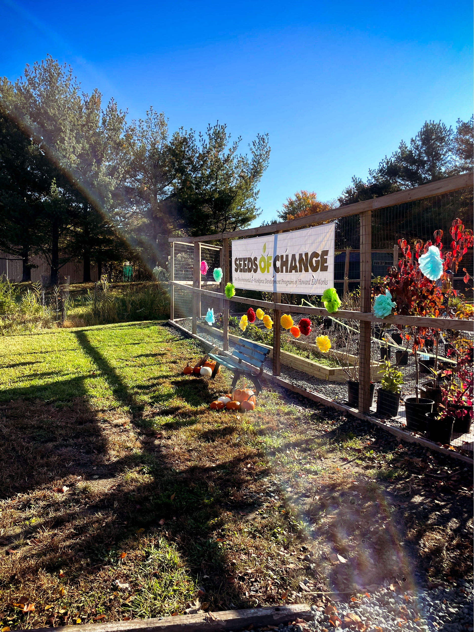 Seeds of Change Grand Re-Opening