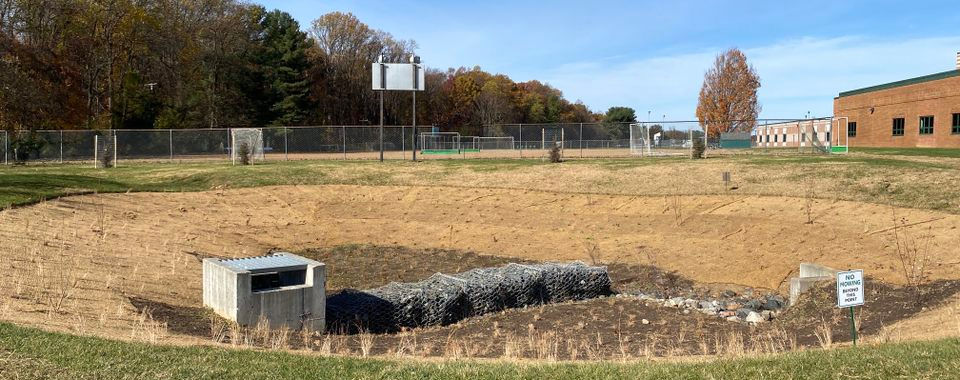 Bio-retention pond with newly planted native plants and shrubs