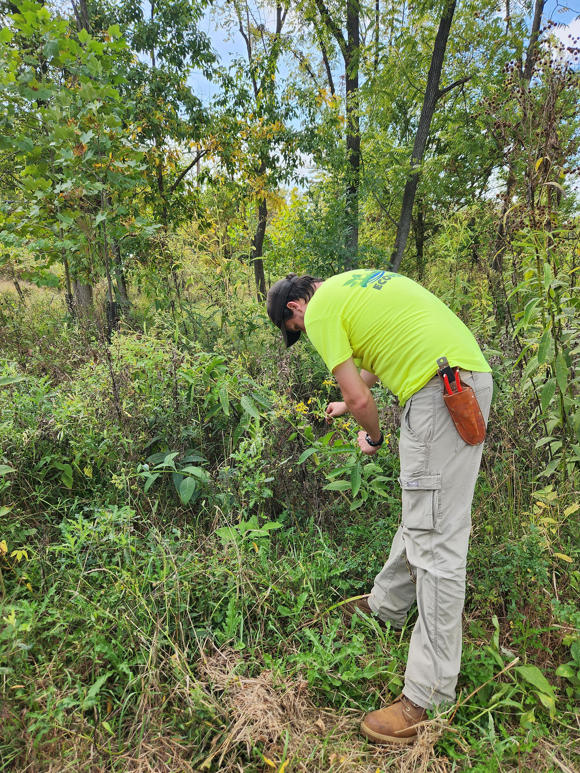 Crew member holding a plant surrounded by many plants and shrubs