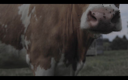 this is going to be videorecorded_still9