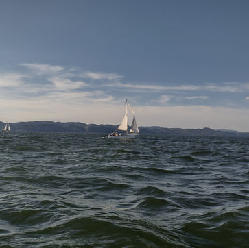 Sailboats racing on the Columbia River during the Regatta Race 2025 - Photo by - Toby Dyal