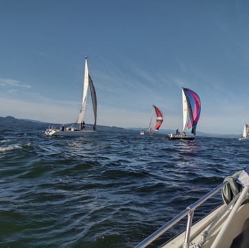 Sailboats with spinnakers on the Columbia River during the Regatta Race 2025 - Photo by - Toby Dyal