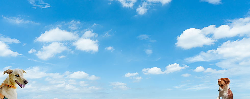 AdobeStock_279597158-3.png