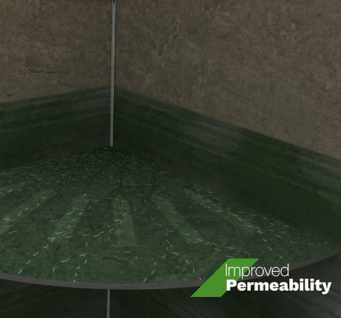 Enhanced Permeability.png
