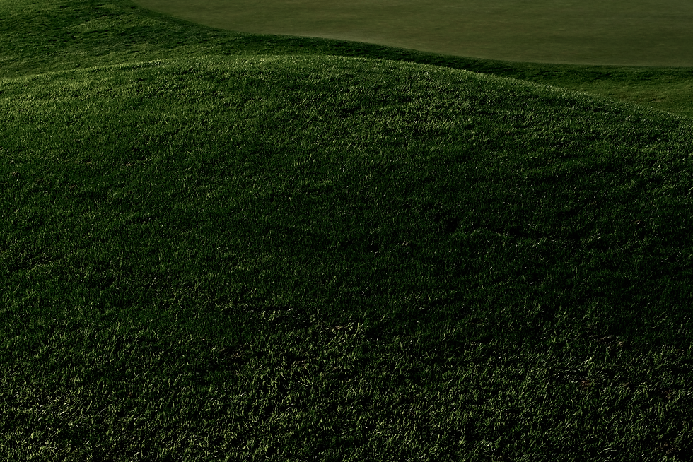 DSCF8814.png