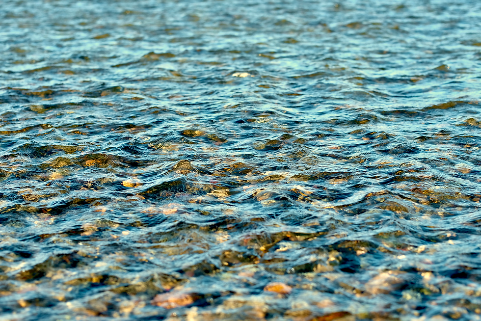 DSCF8846 (1).png
