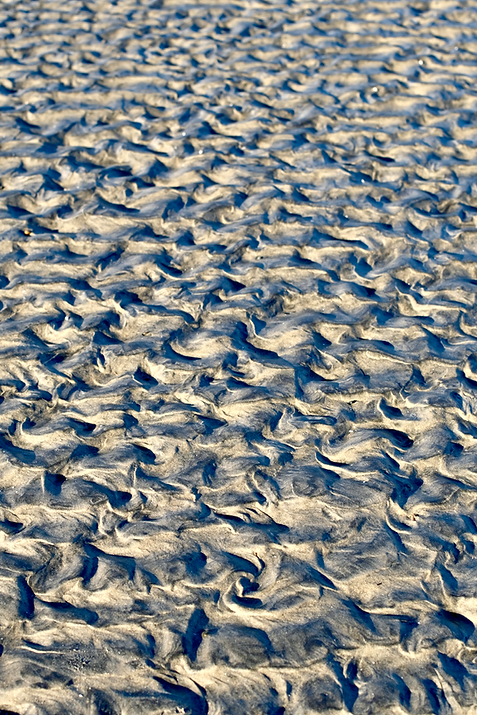 DSCF8870.png