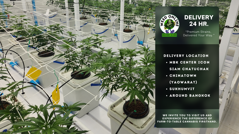 Weed delivery