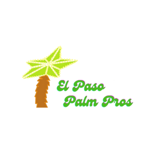 El Paso Palm Pros