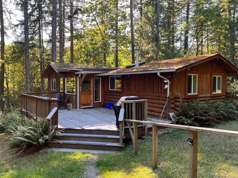 A one-storey wooden cabin surrounded by tall, skinny trees.