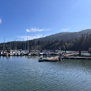 A view of the Ganges harbour, with a wooden dock extending into the ocean to access a collection of sail boats.