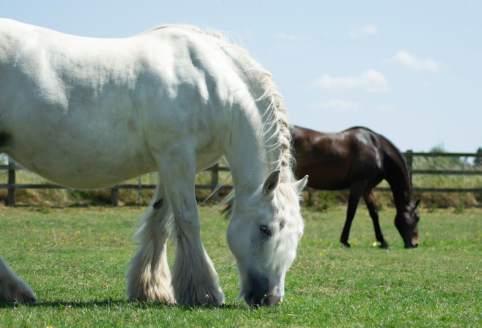 Final edit 3_edited.jpg