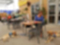 53285632_2364271160272070_760327297222836224_n.jpeg