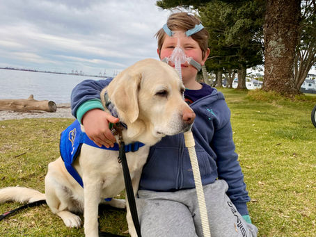 Harry and Kowhai