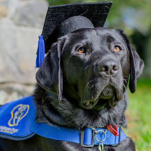 Katie's Graduation (5).jpg