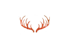 Screen Shot 2015-04-13 at 22.51.24.png