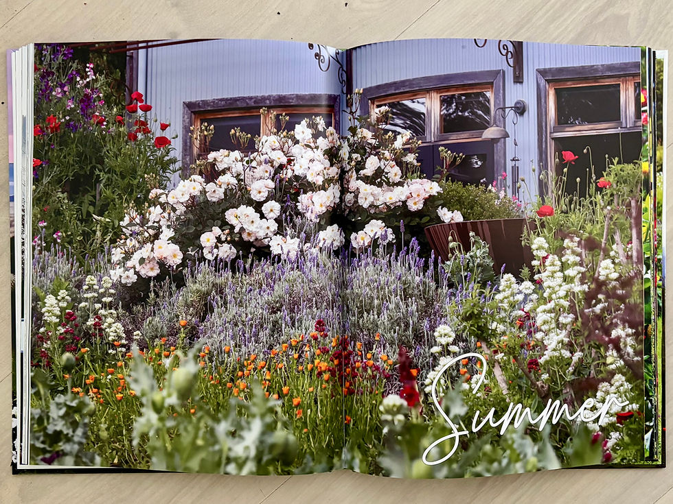 Thumbnail: 'Hartvale - a paint box garden' 