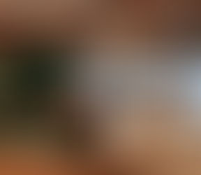 What is Biophilic Design?