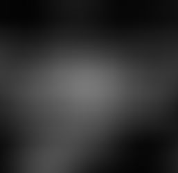 Tudo que você precisa saber sobre OS ÚLTIMOS DIAS DE ALICE UNDERGROUND