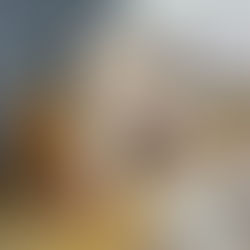 CIA. STRAVAGANZA COMPLETA 33 ANOS COM A ESTREIA DE “9 SAIAS”