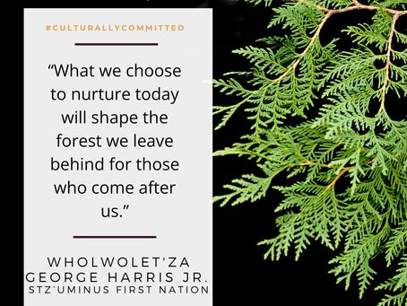 The Forest We Leave Behind