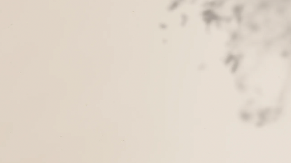 Screen Shot 2023-03-07 at 4.00.43 pm.png