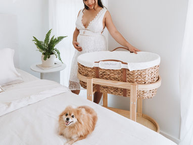 Babyhood Kaylula Moses Basket & Stand Review