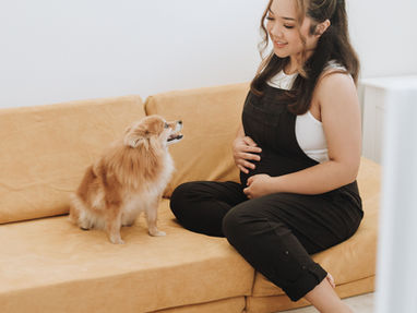 Possum Play Couch: Is it really worth it?