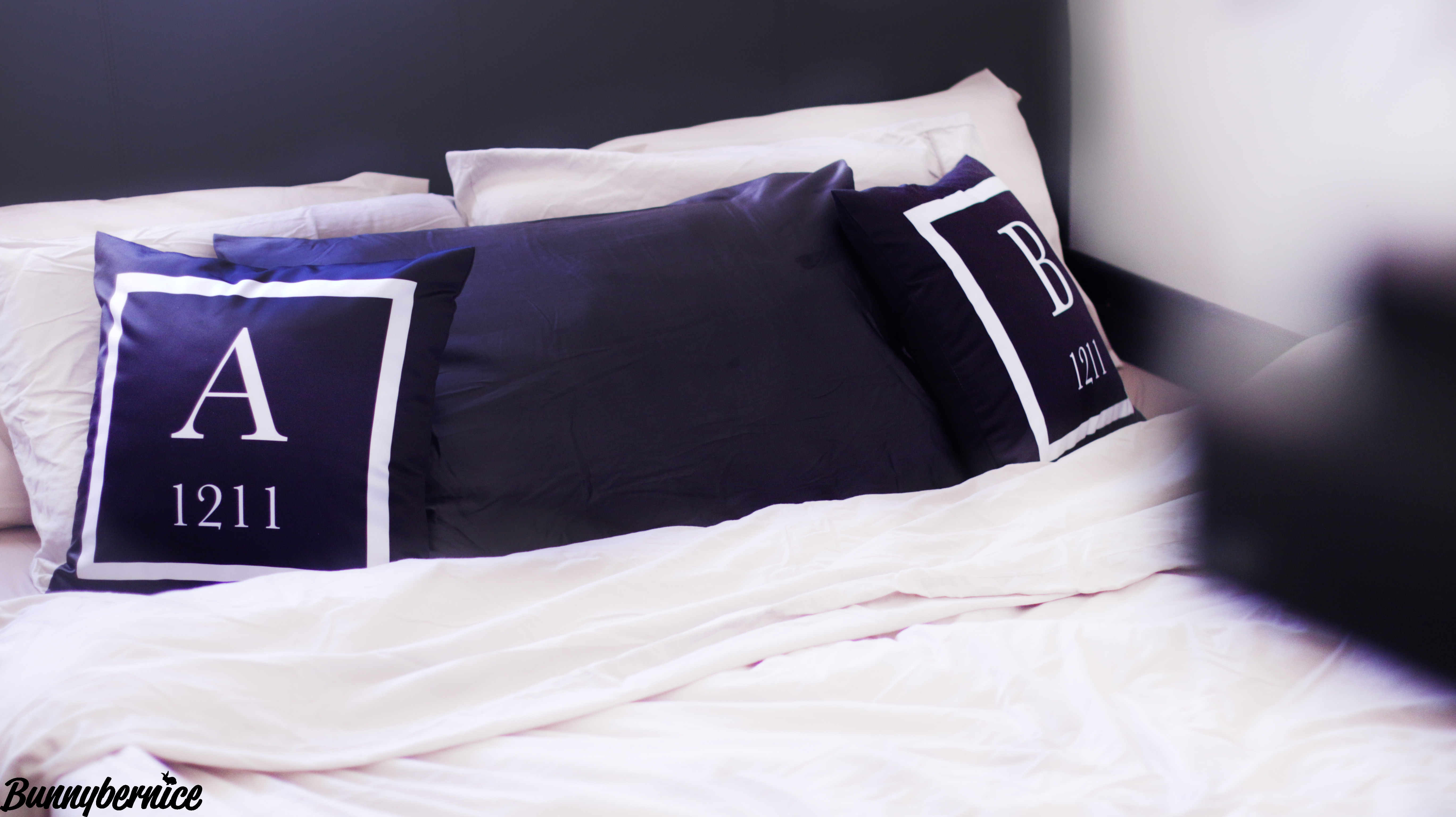 Ecosa Silk pillows