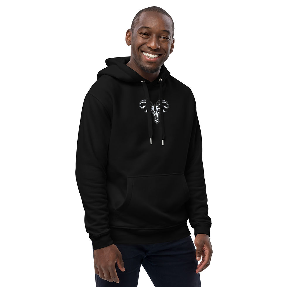Miniatura: Premium insanity 1 player  hoodie