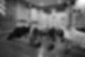 406A0121_edited.jpg