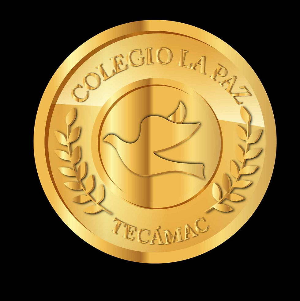 Trabajo realizado en Imagen