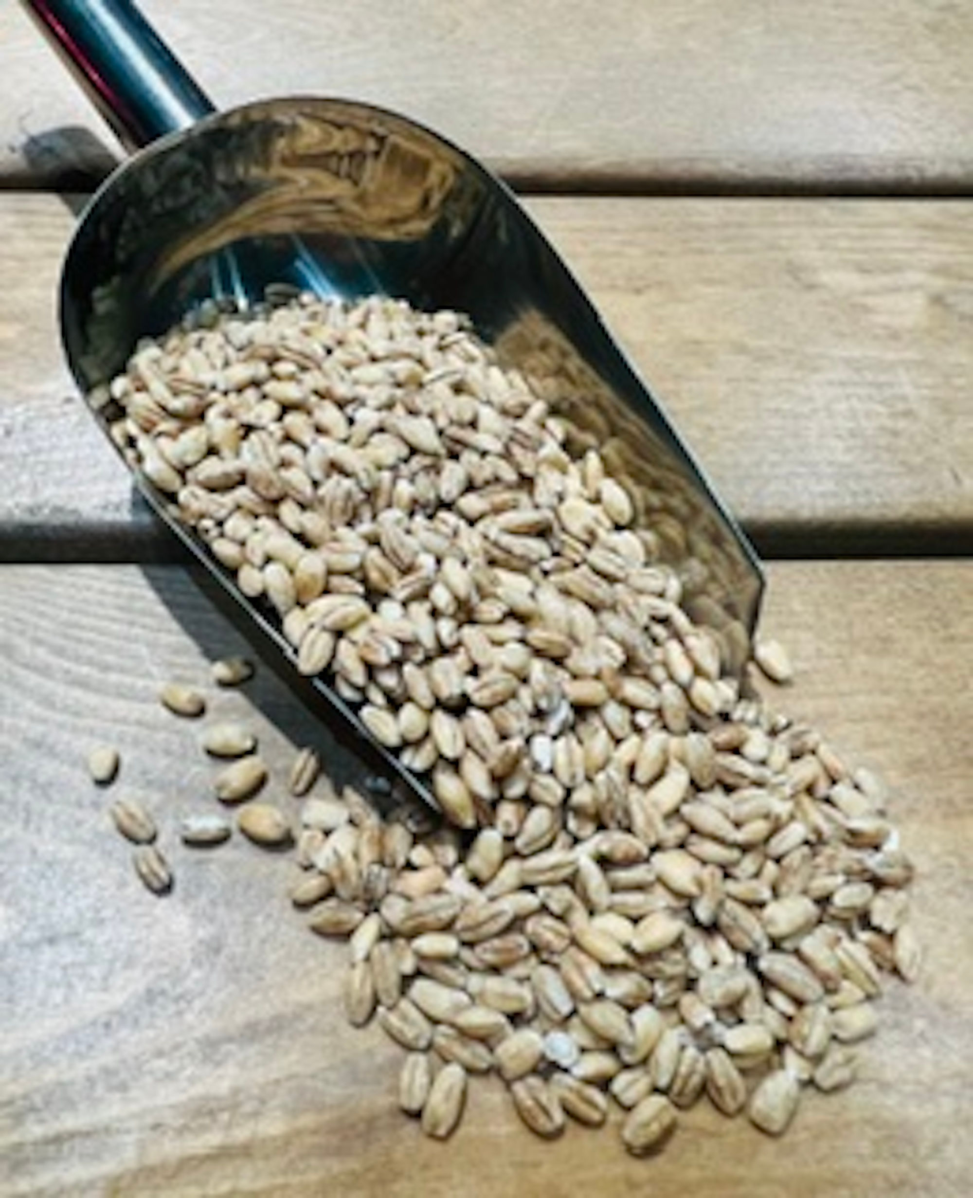 Organic Pearl Barley 59p/100g
