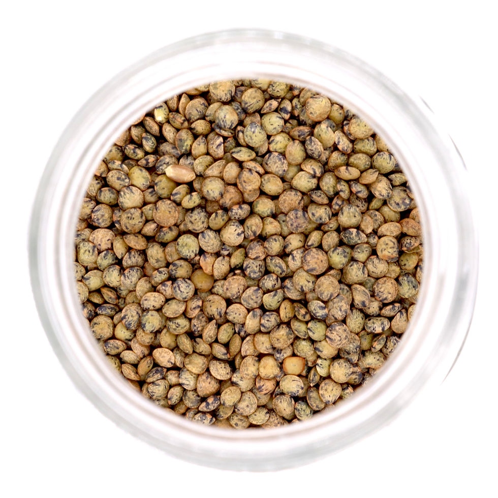 Organic Dark Green Speckled (French/Puy) Lentils £1.39p/100g
