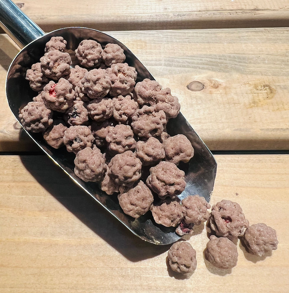 Scottish Freeze Dried Blackcurrants in Belgian Milk Chocolate £6.49/100g