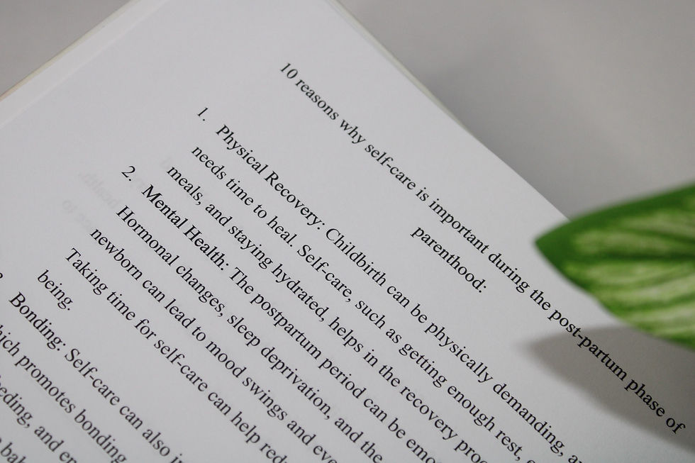 Thumbnail: The Fourth Trimester: A Guided Post Partum Journal 