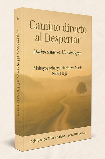 Mockup 2 - CAMINO DIRECTO AL DESPERTAR_e
