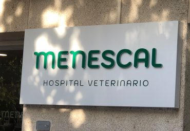 Menescal.jpeg