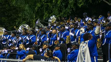 DHS band 1.webp