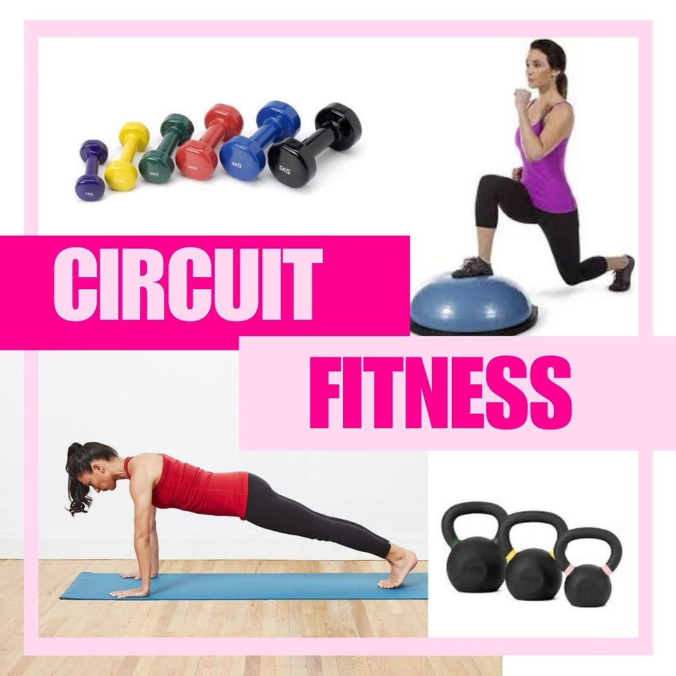 circuit fitness studio dansu huizen