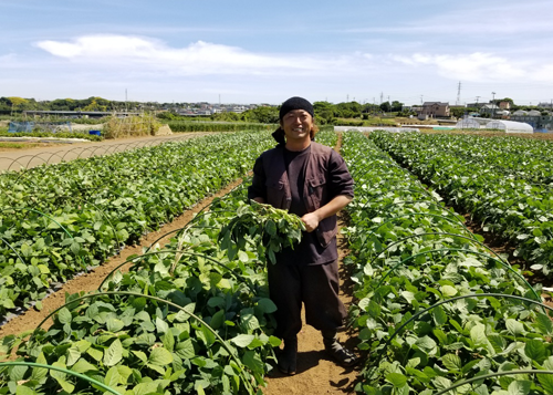 MADE IN JAPAN「Edamame」