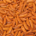 SALGADINHOS
