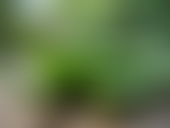 Why Natural Skin Rejuvenation Works Best