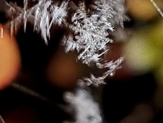 przez oddzielenie ... 20.11.2022r.